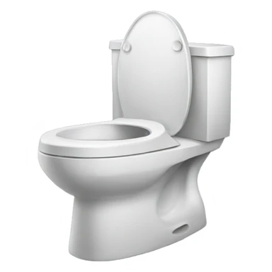 normal toilet but skibidi sticker