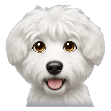 Fluffy white dog with black nose, brown spot on right eye and black left ear sticker