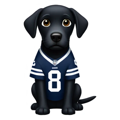 black labrador with dallas cowboys jersey sticker