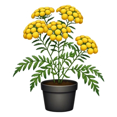 Tansy plant sticker