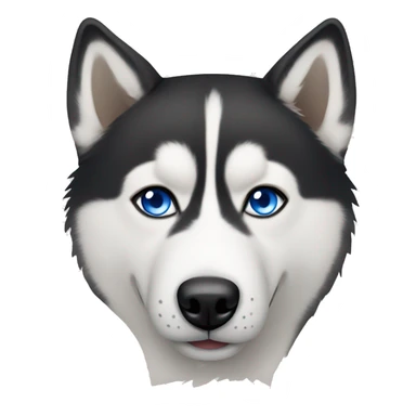 Husky with one blue eye and one brown eye  sticker