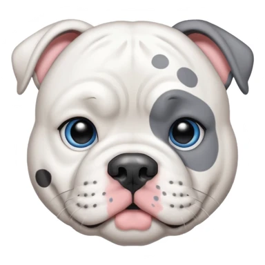 American bulldog that’s grey and white with blue eyes and black spots  sticker