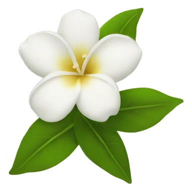 Jasmine flowers  sticker