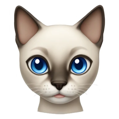 Siamese cat with blue eyes boy sticker