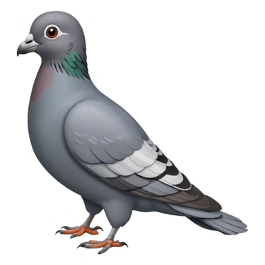 pigeon sticker