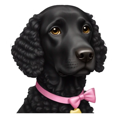 female black curly retriever with pink bows above her ears sticker