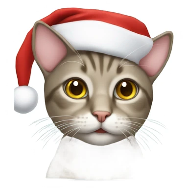 Cat wearing christmas hat sticker