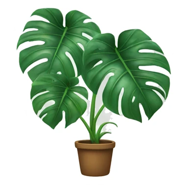 monstera plant sticker