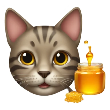 cat with honey sticker