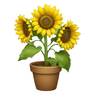 sunflowers sticker
