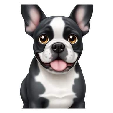 Black merle french bulldog blue eye sticker