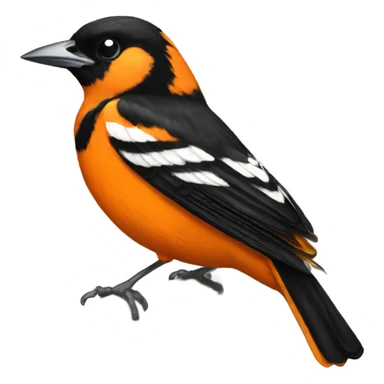 Oriole sticker