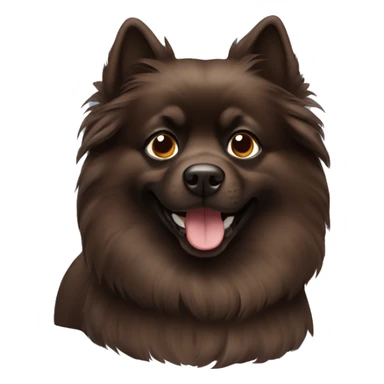 Dark Brown pomerainian dog sticker
