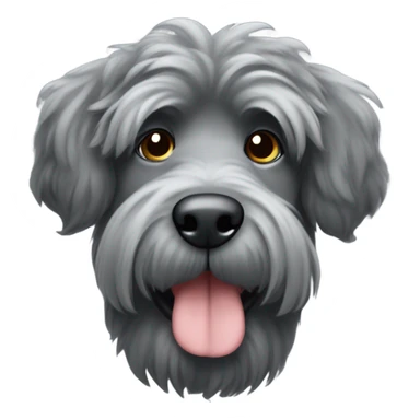 Gray bouvier des Flanders with cropped ears sticker