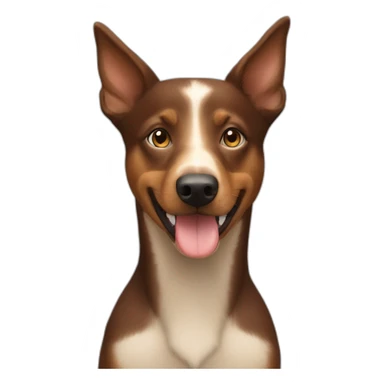 Australian kelpie marron sticker