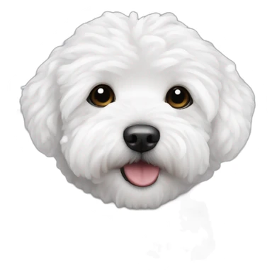 white maltipoo in the winter, having snow on the nose sticker
