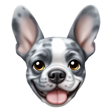 Blue Merle Frenchie sticker