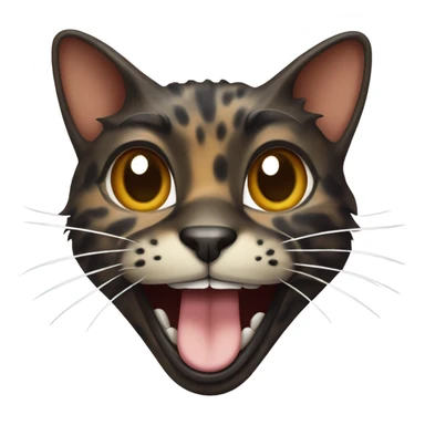 Tortoise cat laughing  sticker