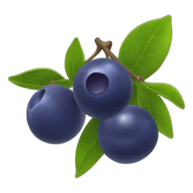 Myrtille fruit sticker
