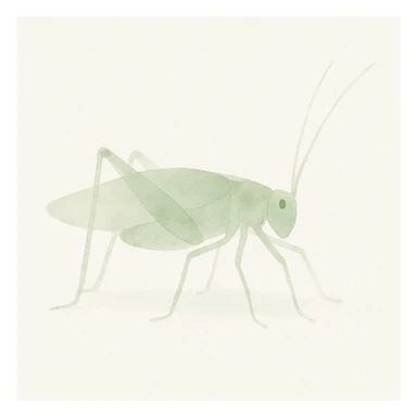 watercolor painting of katydid, soft green tones and delicate brushwork sticker