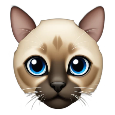 tan brown and black siamese Cat with blue eyes and white chin sticker