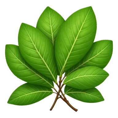 Guava leaves from the guava plant sticker