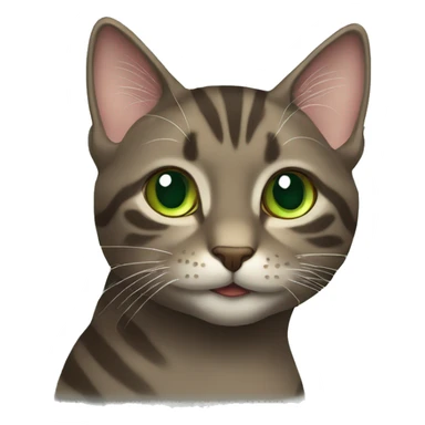Tabby dark grey brown cat green eyes winking sticker