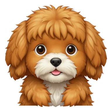 Cavapoo  apricot sticker