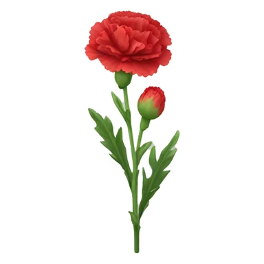 red Carnation flower sticker