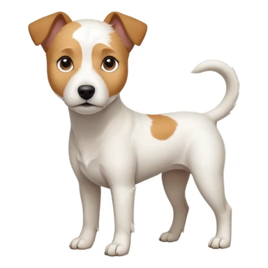 a full body slightly chubby white parson russell terrier looking dog the size of a kelpie with light brown long ears and a light brown patch on one eye and a large snout. the rest of the dog is completely white sticker
