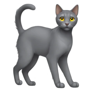 fluffy grey korat breed cat with yellow eyes black pupils, walking and playing female side view sticker