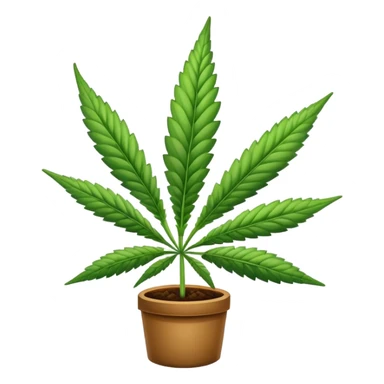 420 day sticker