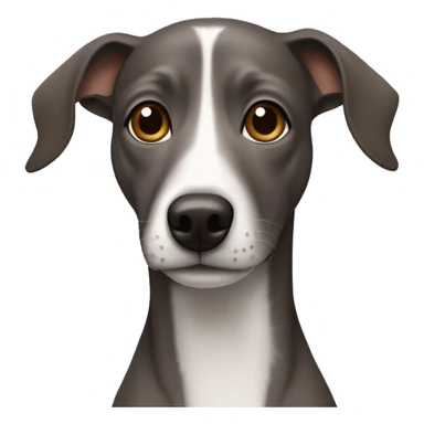 Dark Grey brown Formosa mountain dog and Italian greyhound mix sticker