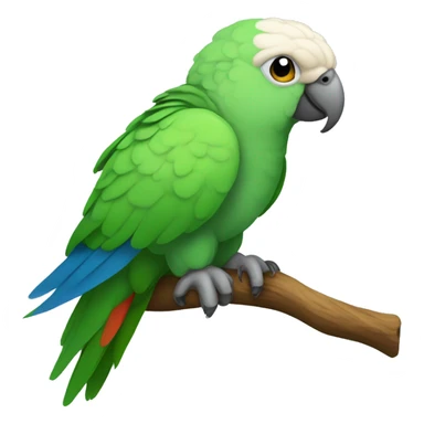 Quaker hteen parrot with an atitude sticker