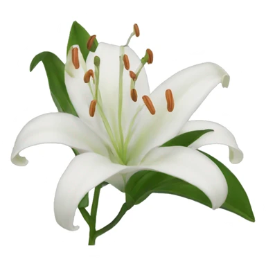 Lily sticker