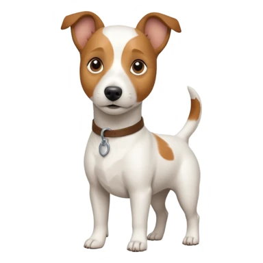 a full body white jack russel looking dog the size of a kelpie with light brown ears and a light brown patch on one eye and a large snout sticker