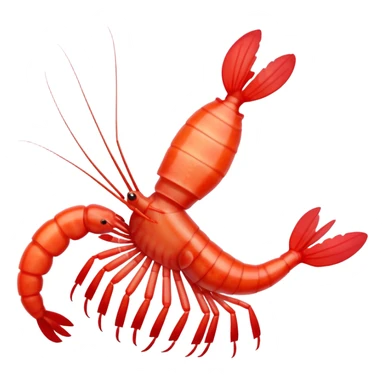 Coral banded shrimp sticker