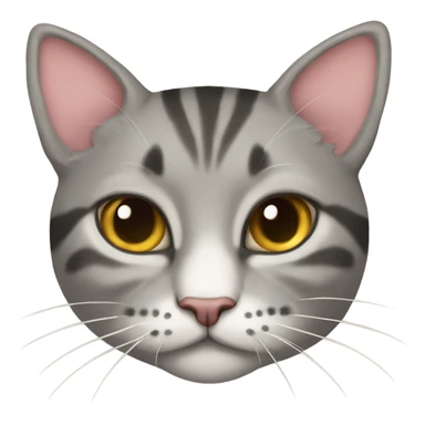 Gatto con fiocchi  sticker