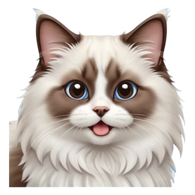 cinematic-adorable-big-eyed-fluffy-dark brown and white ragdoll-cat-portrait-emoji,-head-tilted-playfully-with-a-cute,-yawn,-soft-brown-and white-colored-fur-with-darker-points-on-the-ears,-simplified-yet-irresistibly-cute-features, sparkling blue eyes sticker