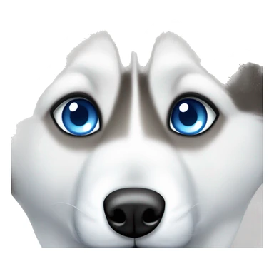 siberian husky with blue eyes peeking sticker