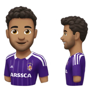 rsca Anderlecht sticker