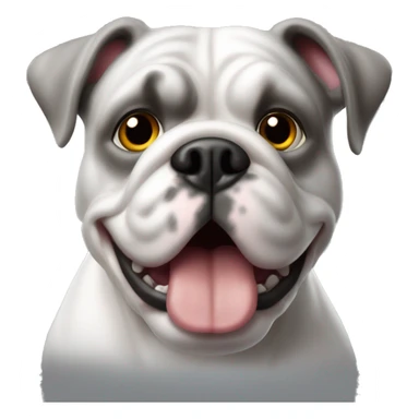 Französische Bulldogge grau sticker