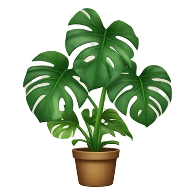 Monstera plant sticker