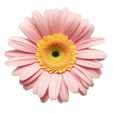 pale pink and yellow one flower gerbera sticker