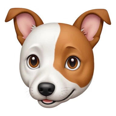 a fully white jack russell the size of a kelpie with light brown ears and a light brown patch on one eye sticker