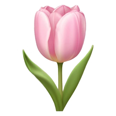 light pink tulip bouquet with light pink bow sticker