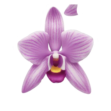 Orchids  sticker