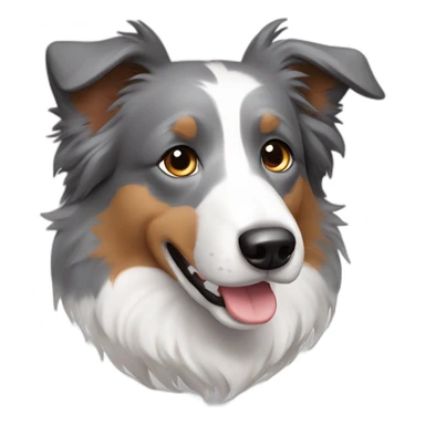 gray colour hair Border collie with Brown eyes sticker