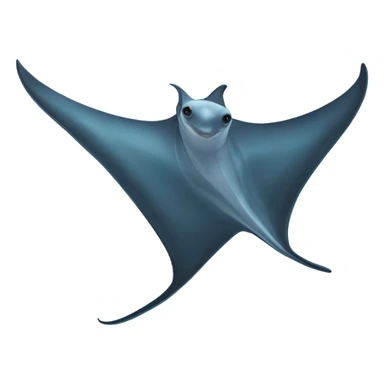 Manta Ray  sticker