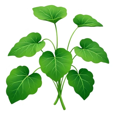 Gotu Kola plant  sticker